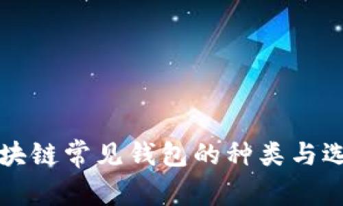 揭秘区块链常见钱包的种类与选用指南