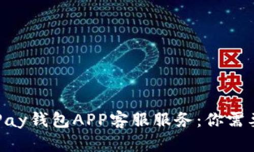 全面解析OKPay钱包APP客服服务：你需要了解的一切