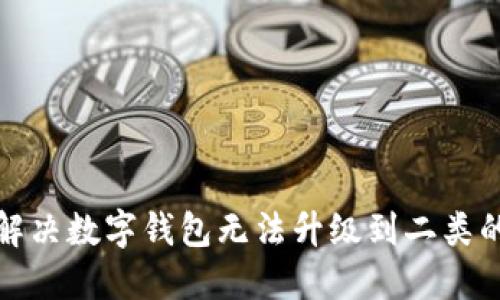 如何解决数字钱包无法升级到二类的问题