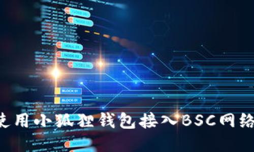 如何正确使用小狐狸钱包接入BSC网络：全面指南