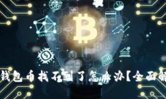 小狐狸钱包币找不到了怎么办？全面解决指南
