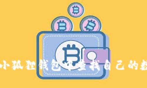 如何在小狐狸钱包中查找自己的数字货币