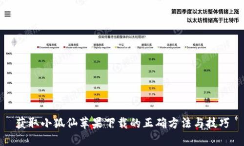 获取小狐仙苹果下载的正确方法与技巧