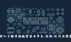深入了解中国数字货币平台：结构、运作与前景