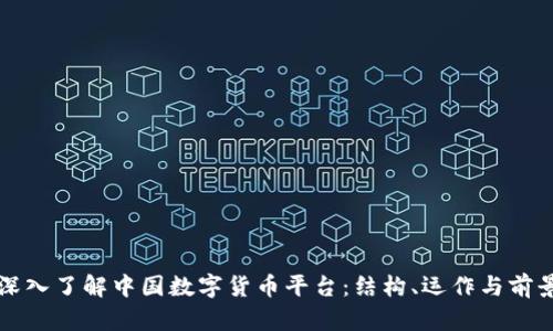 深入了解中国数字货币平台：结构、运作与前景