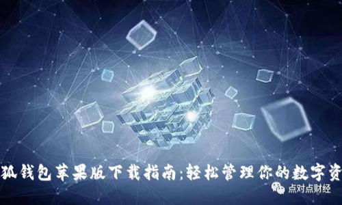 小狐钱包苹果版下载指南：轻松管理你的数字资产
