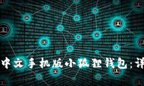 如何在手机上安装中文手机版小狐狸钱包：详尽步骤与注意事项