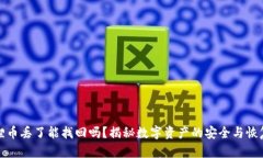 小狐狸币丢了能找回吗？揭秘数字资产的安全与