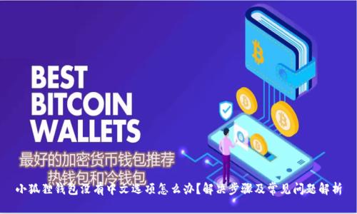 小狐狸钱包没有中文选项怎么办？解决步骤及常见问题解析
