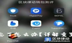 小狐狸钱包密码忘了怎么办？详解重置方法与应