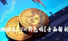 小狐狸钱包地址是EVM钱包吗？全面解析与使用指