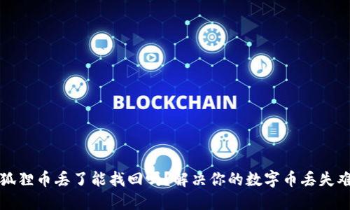 小狐狸币丢了能找回吗？解决你的数字币丢失难题
