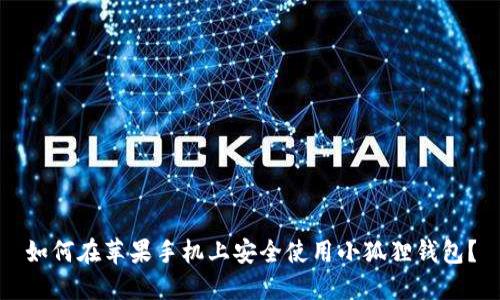 如何在苹果手机上安全使用小狐狸钱包？