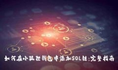如何在小狐狸钱包中添加SOL链：完整指南
