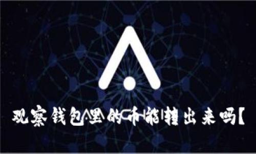 观察钱包里的币能转出来吗？