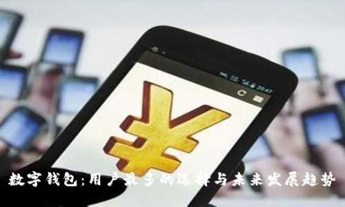 数字钱包：用户最多的选择与未来发展趋势