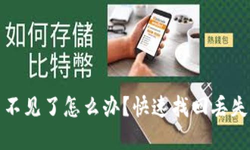 小狐狸钱包的币不见了怎么办？快速找回丢失资产的解决方案
