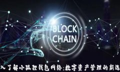 深入了解小狐狸钱包网络：数字资产管理的新选