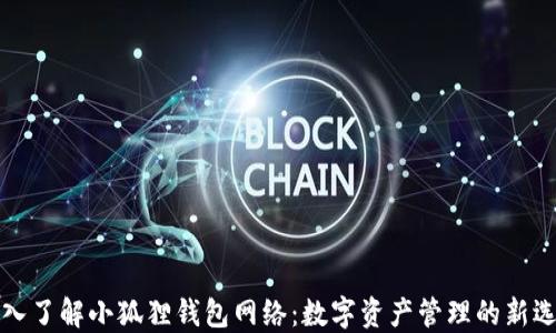 
深入了解小狐狸钱包网络：数字资产管理的新选择
