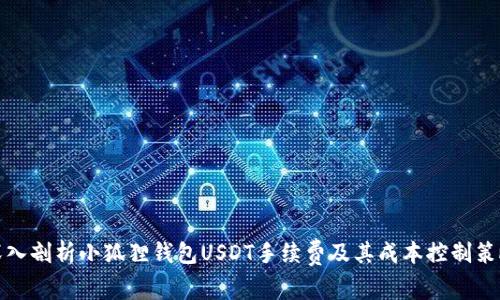 深入剖析小狐狸钱包USDT手续费及其成本控制策略