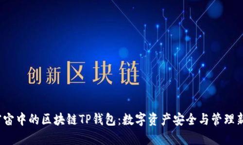  元宇宙中的区块链TP钱包：数字资产安全与管理新趋势