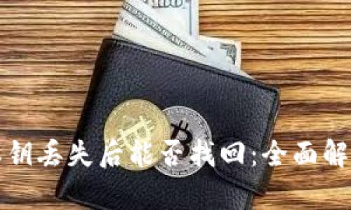 区块链钱包私钥丢失后能否找回：全面解析与应对策略