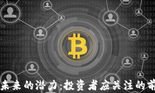 
狗狗币未来的潜力：投资者应关注的前景分析