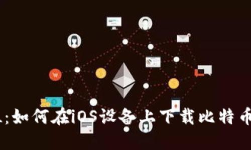 一步到位：如何在iOS设备上下载比特币交易APP