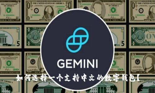 如何选择一个支持中文的数字钱包？