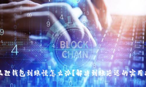小狐狸钱包到账慢怎么办？解决到账延迟的实用指南