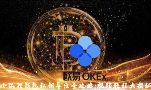 
小狐狸钱包私钥导出全攻略：视频教程大揭秘