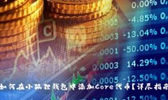 如何在小狐狸钱包中添加Core代币？详尽指南