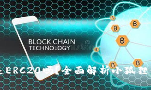 小狐狸钱包地址是ERC20吗？全面解析小狐狸钱包的使用和特点