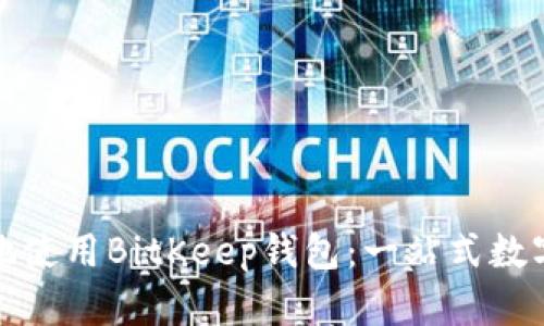如何安全高效地使用BitKeep钱包：一站式数字资产管理方案