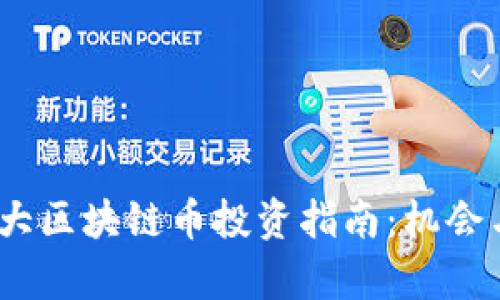 2023年十大区块链币投资指南：机会与风险并存