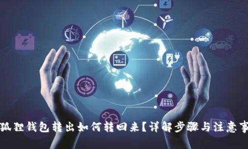 小狐狸钱包转出如何转回来？详解步骤与注意事项