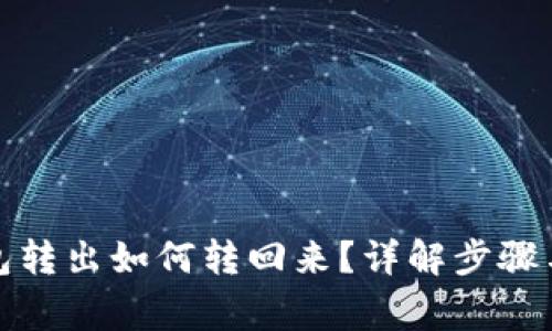 小狐狸钱包转出如何转回来？详解步骤与注意事项