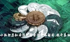 小狐狸虚拟币钱包安全性全面解析，揭开真相