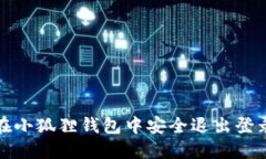 如何在小狐狸钱包中安全退出登录账号