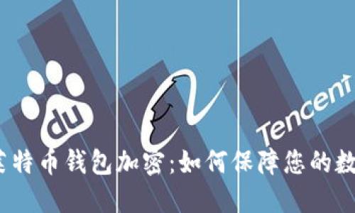  全面解读莱特币钱包加密：如何保障您的数字资产安全