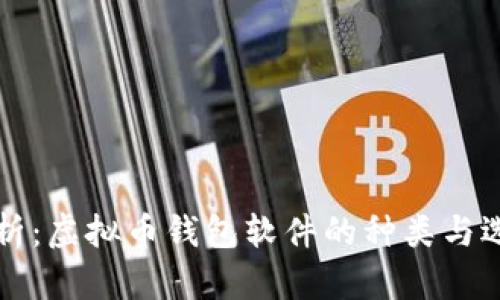 全面解析：虚拟币钱包软件的种类与选择指南