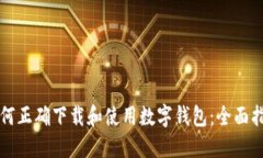 如何正确下载和使用数字钱包：全面指南