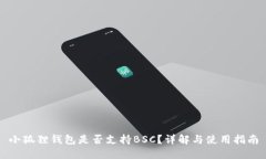 小狐狸钱包是否支持BSC？详解与使用指南