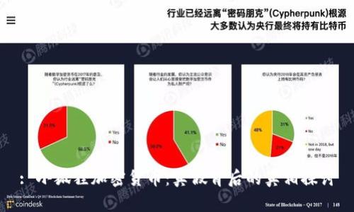 : 小狐狸加密货币：真假背后的真相探讨