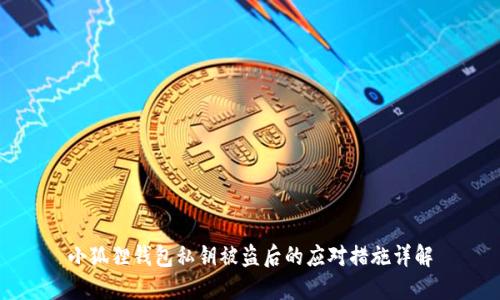 小狐狸钱包私钥被盗后的应对措施详解