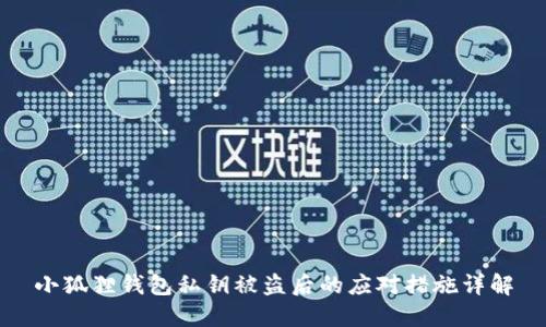 小狐狸钱包私钥被盗后的应对措施详解