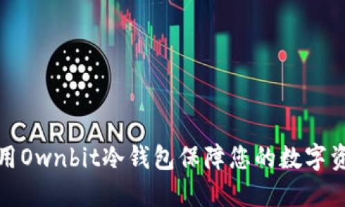 如何使用Ownbit冷钱包保障您的数字资产安全