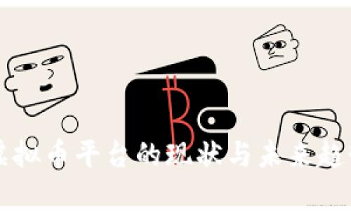 国内虚拟币平台的现状与未来趋势分析