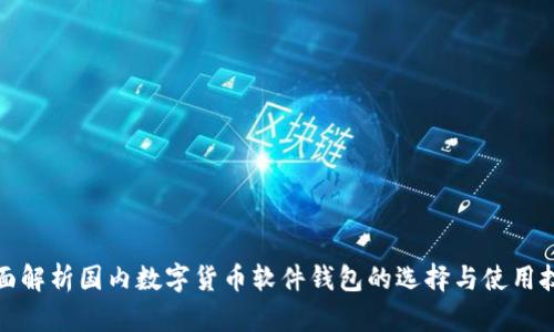 全面解析国内数字货币软件钱包的选择与使用技巧