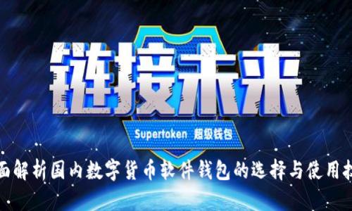 全面解析国内数字货币软件钱包的选择与使用技巧